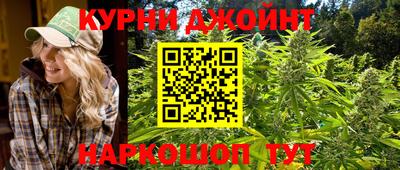 СК Новозыбков