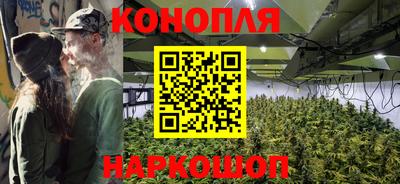 СК Новозыбков