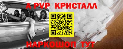 СК Новозыбков