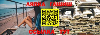СК Новозыбков