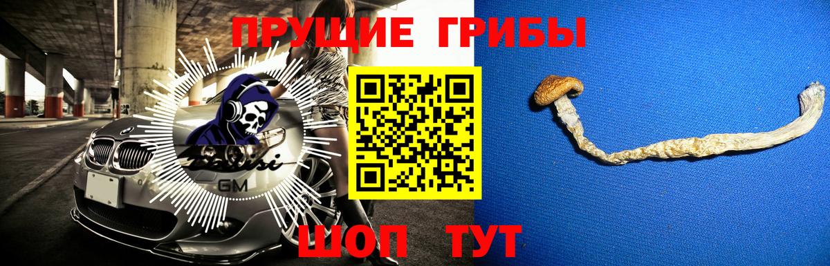 Псилоцибиновые грибы Psilocybe  Вход с VPN  Псилоцибиновые грибы мухоморы  Топки 
