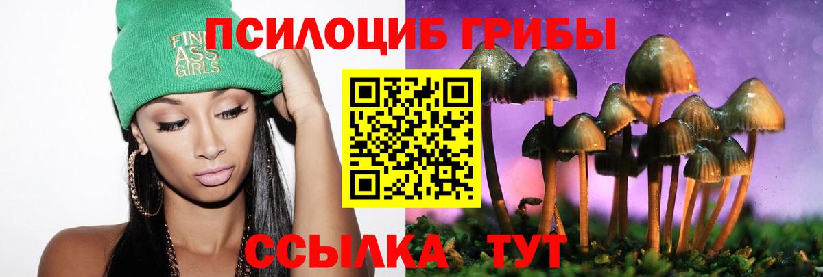 Галлюциногенные грибы Psilocybine cubensis Топки